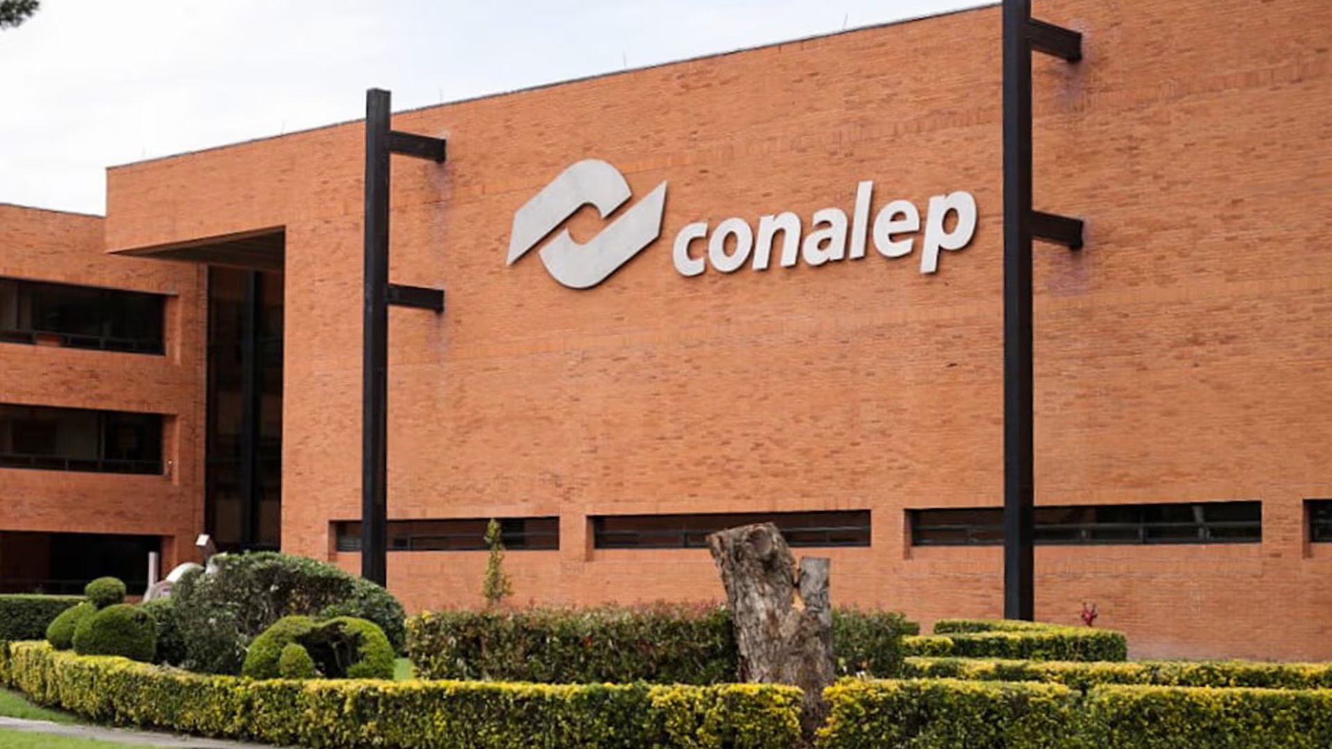 El primer Conalep fue fundado en 1978
Foto:
Conalep