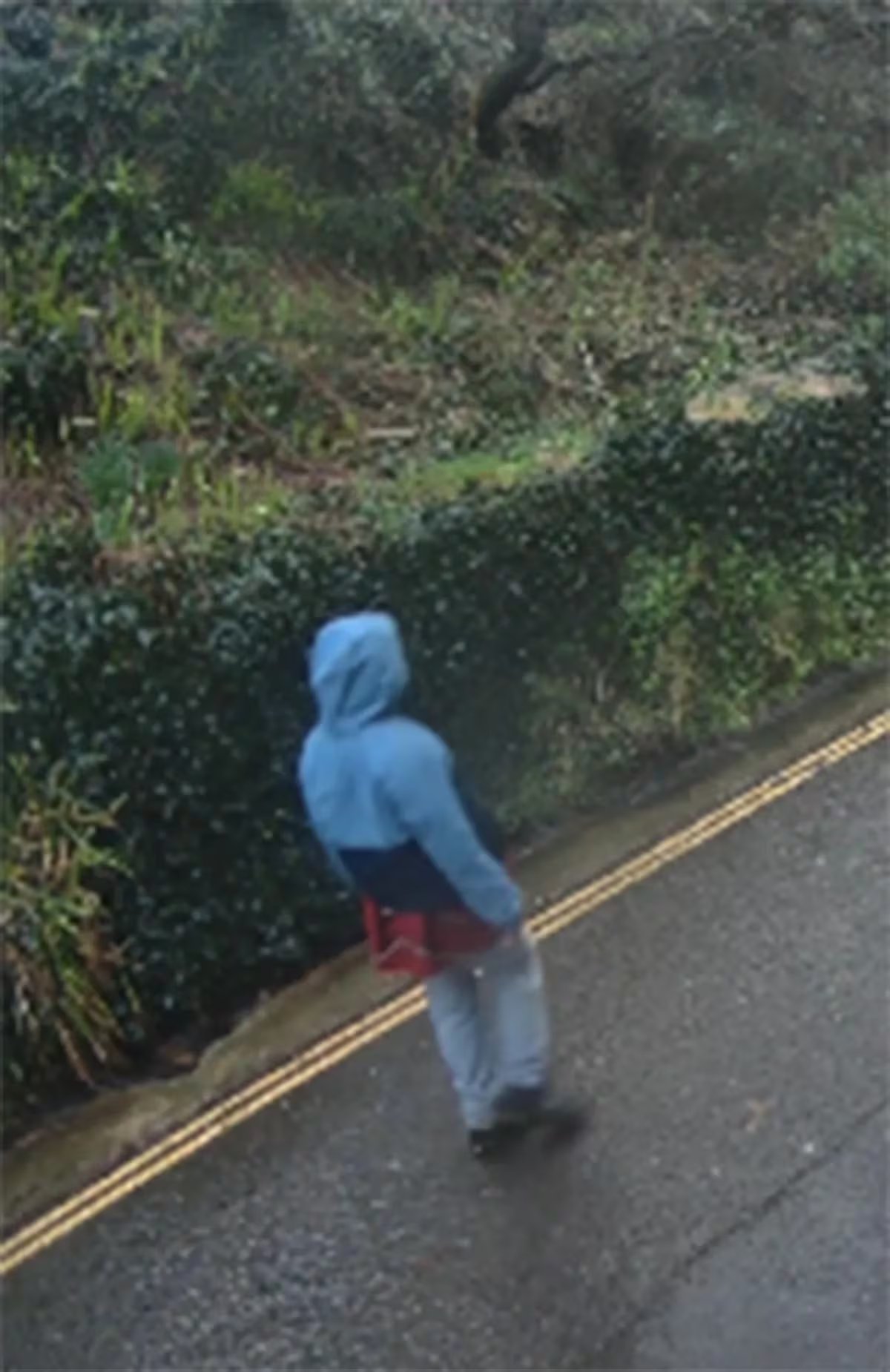 En paralelo al ataque a Hamrick, la familia Jagger enfrenta la desaparición de Alexander Key, pareja de Assisi Jackson, en Cornwall (Devon & Cornwall Police)