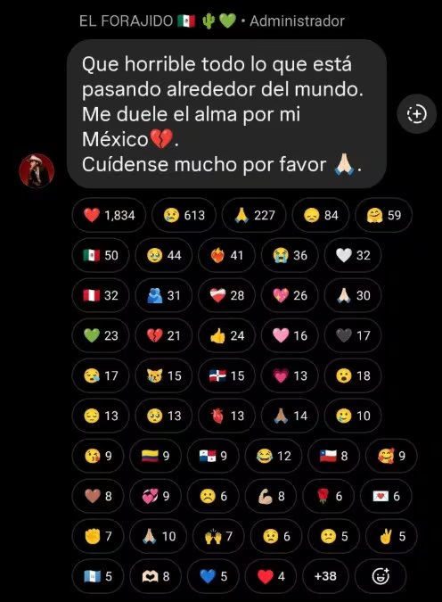 Ángela expresó su inquietud respecto a los hechos registrados en el occidente de México. (@angela<em>aguilar</em>)» class=»aligncenter size-full» src=»https://kchcomunicacion.com/wp-content/uploads/2026/02/La-reaccion-de-Angela-Aguilar-ante-la-ola-de-viole-1.jpg» style=»width:100%; height:auto; margin-bottom: 20px;»/></p>
<h3>Contexto de la violencia en el occidente mexicano</h3>
<p>Los hechos violentos se intensificaron el domingo <strong>22 de febrero</strong>, registrando bloqueos y altercados en diversas regiones del país, especialmente en <strong>Jalisco</strong>. Estos eventos fueron consecuencia directa de la caída de <strong>Oseguera Cervantes</strong>, quien fuera el máximo líder del <strong>Cártel Jalisco Nueva Generación (CJNG)</strong>. La gravedad de la situación motivó la movilización inmediata de las <strong>autoridades federales</strong> para intentar restablecer el orden ante la alarma de la población civil.</p>
<p>Poco después de su mensaje de solidaridad, <strong>Ángela Aguilar</strong> publicó una fotografía de <strong>dos perros pug</strong> sentados en el asiento de un avión privado. Sus seguidores interpretaron este contenido como un gesto para proyectar serenidad y calma en medio de la incertidumbre generalizada. De esta forma, la artista se unió a otras figuras públicas que han utilizado su alcance para invitar a la precaución durante esta coyuntura.</p>
<p><img decoding=