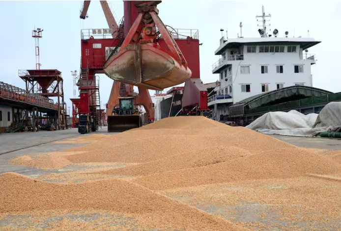 Si China accediera en lo inmediato a una nueva ronda de compras de soja estadounidense, debería hacerlo asumiendo precios mucho más altos que los que puede ofrecerle Sudamérica (Reuters)