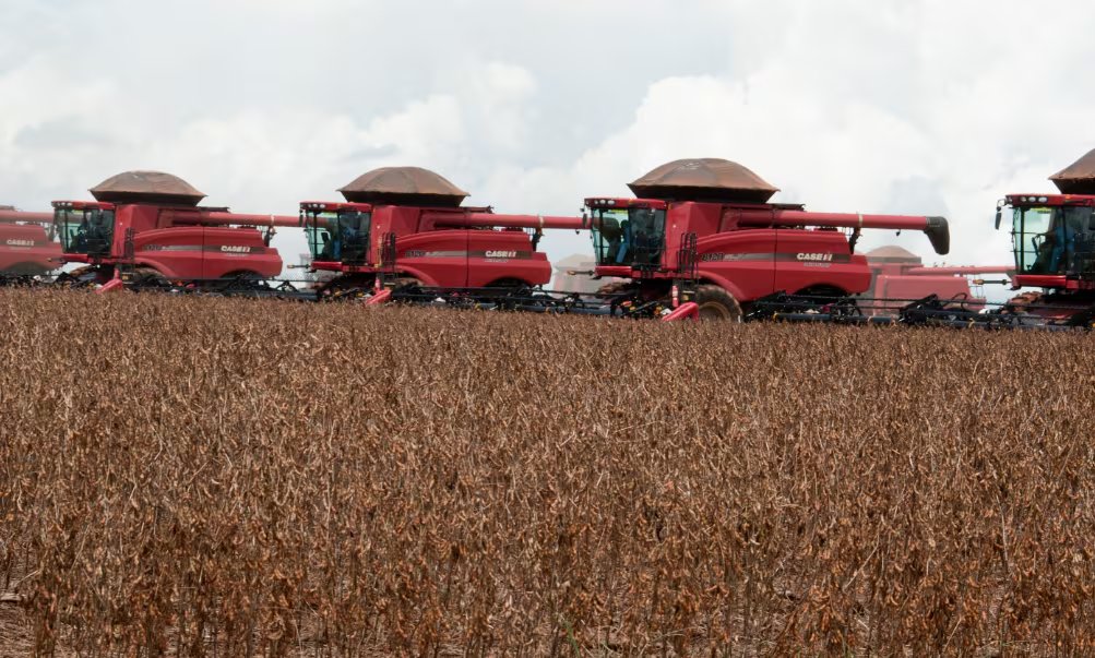 Para Brasil el golpe es muy importante, ya que toma al vecino país en plena cosecha, necesitado de colocar un elevado volumen rápidamente en los puertos de su principal cliente (BRAS)