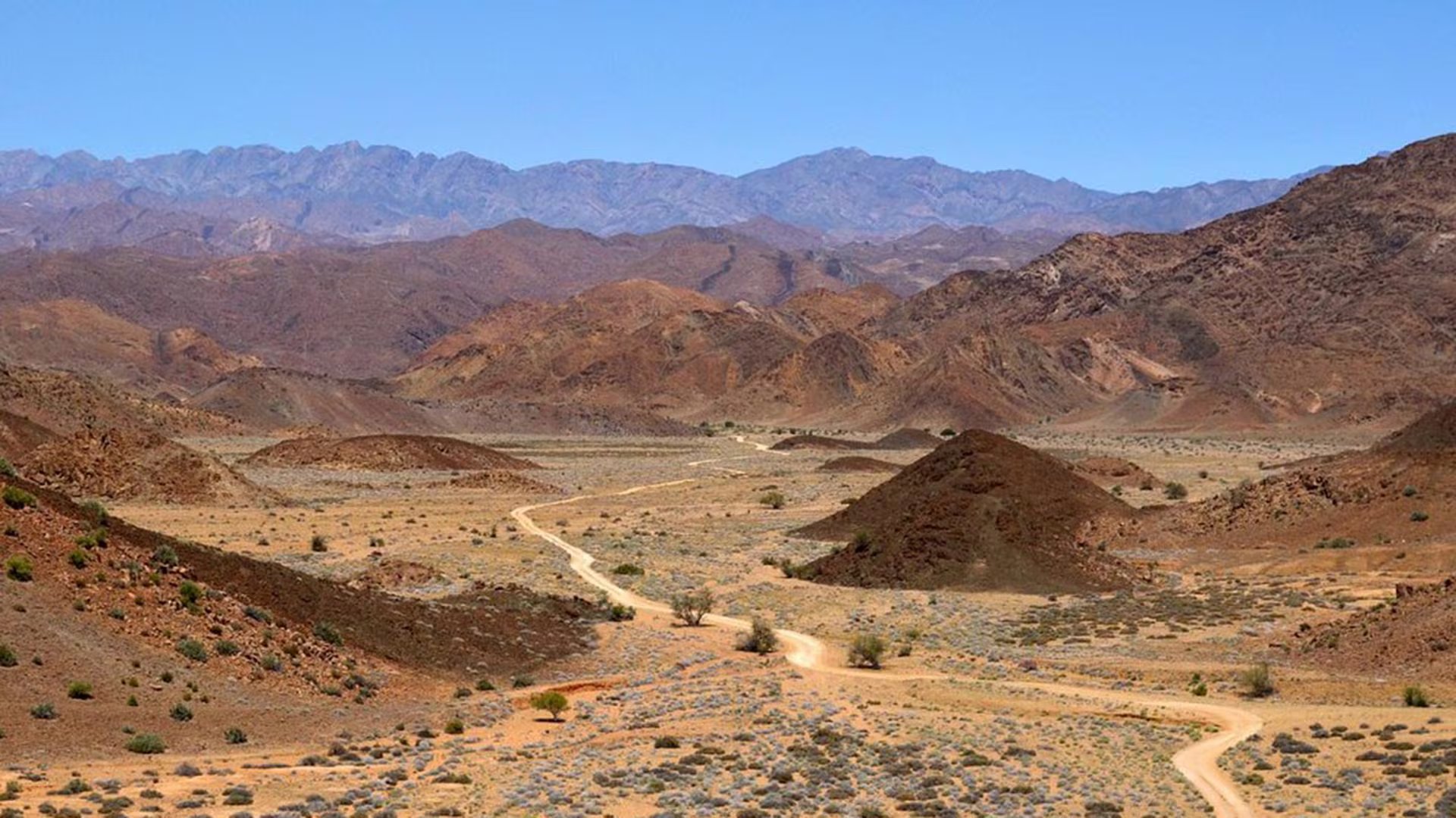 El Parque Nacional Richtersveld, en Sudáfrica, permite descubrir arte rupestre ancestral y avistar fauna silvestre en paisajes minerales únicos
