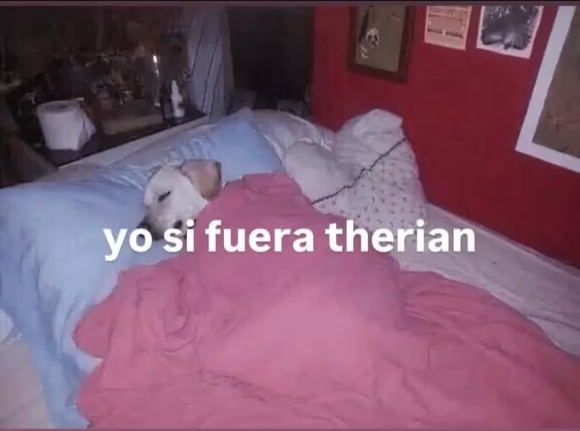 Un perro descansa plácidamente, ajeno al entorno, evocando la tranquilidad de quien puede disfrutar la vida sin preocupaciones.