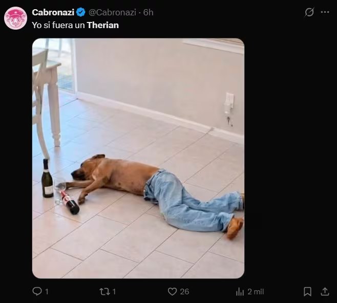 Meme en Redes Sociales sobre un perro con botellas a su alrededor.