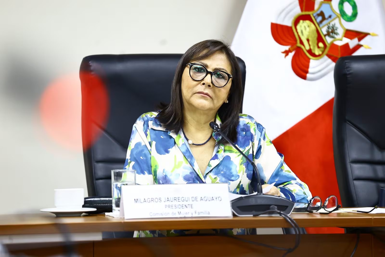 Jáuregui defendió públicamente la labor del refugio y aseguró que opera bajo supervisión ministerial y que ha recibido visitas oficiales para constatar la calidad de sus servicios