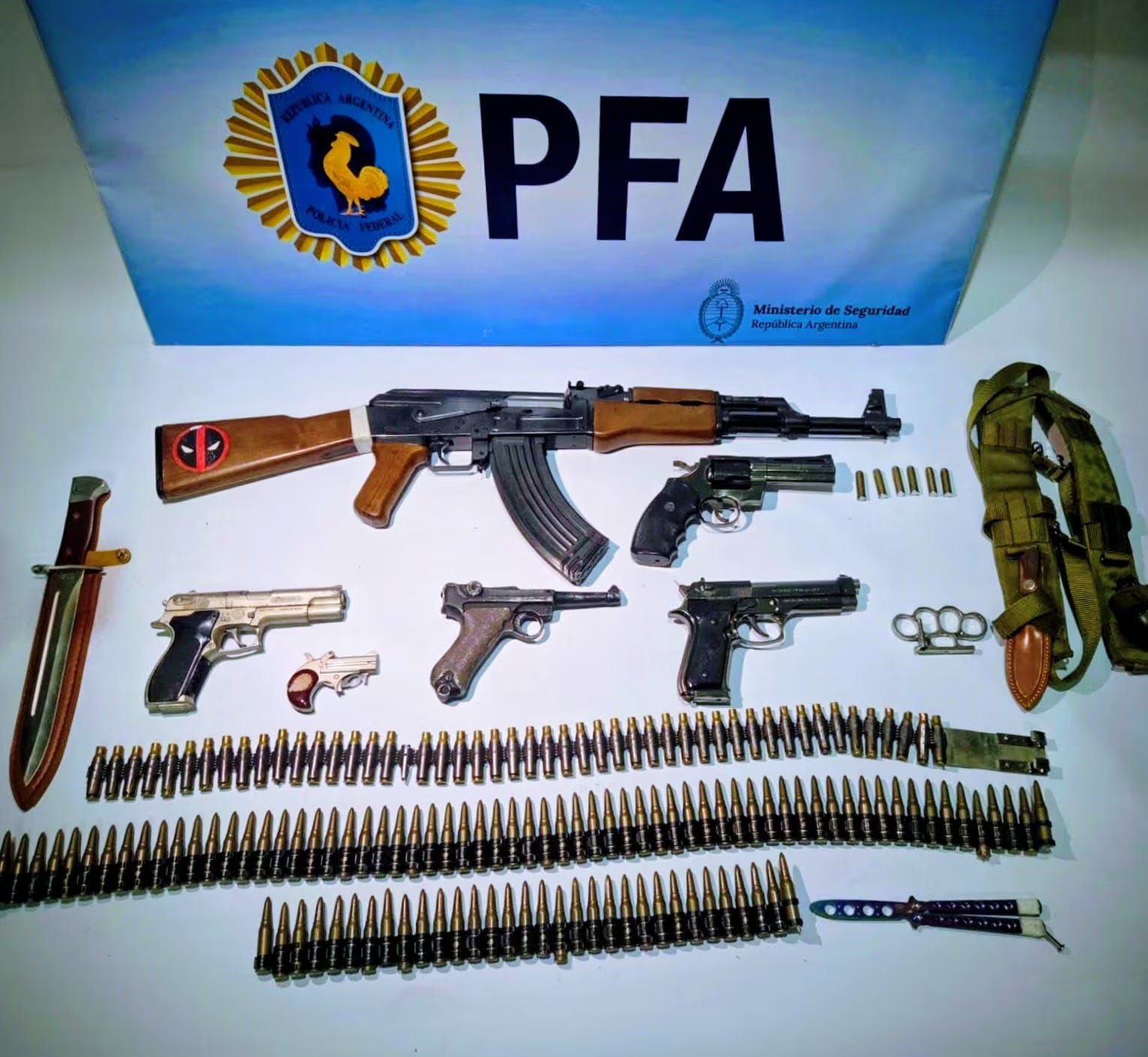 Las armas secuestradas al sospechoso