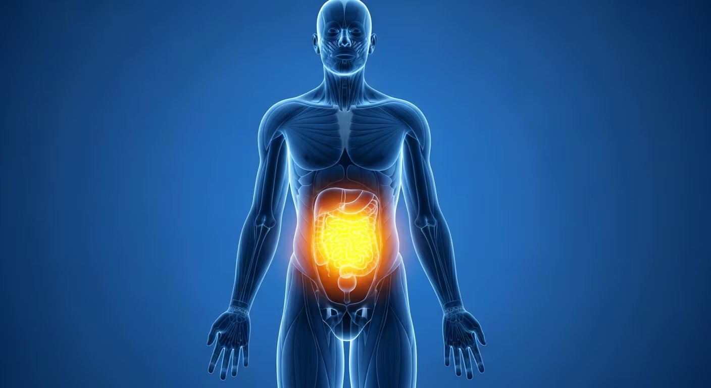 La gastroenteróloga Xiao Jing Iris Wang aclara que la regularidad y la hidratación son claves para el bienestar digestivo según Mayo Clinic (Imagen Ilustrativa Infobae)