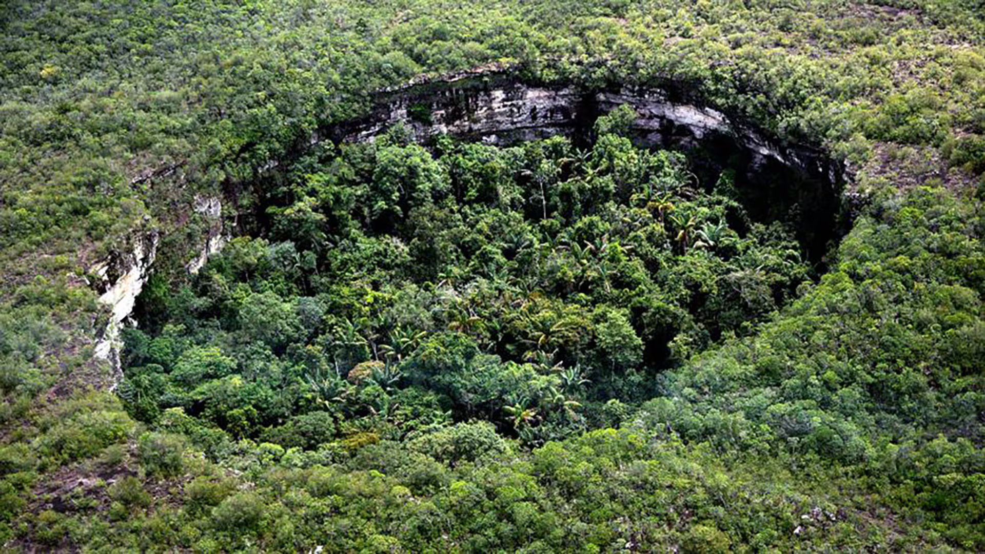 ara los científicos, el arte rupestre de Chiribiquete no es decorativo: es una “escritura ancestral” que revela la relación entre cultura, biodiversidad y cosmovisión indígena.- crédito Infobae
