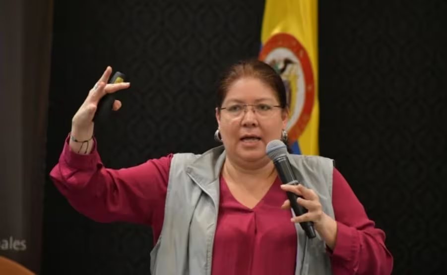 La directora Alejandra Barrios afirmó que “son muchos los ojos que están viendo el proceso, no solamente el conteo de los votos, sino también del escrutinio - crédito MOE 