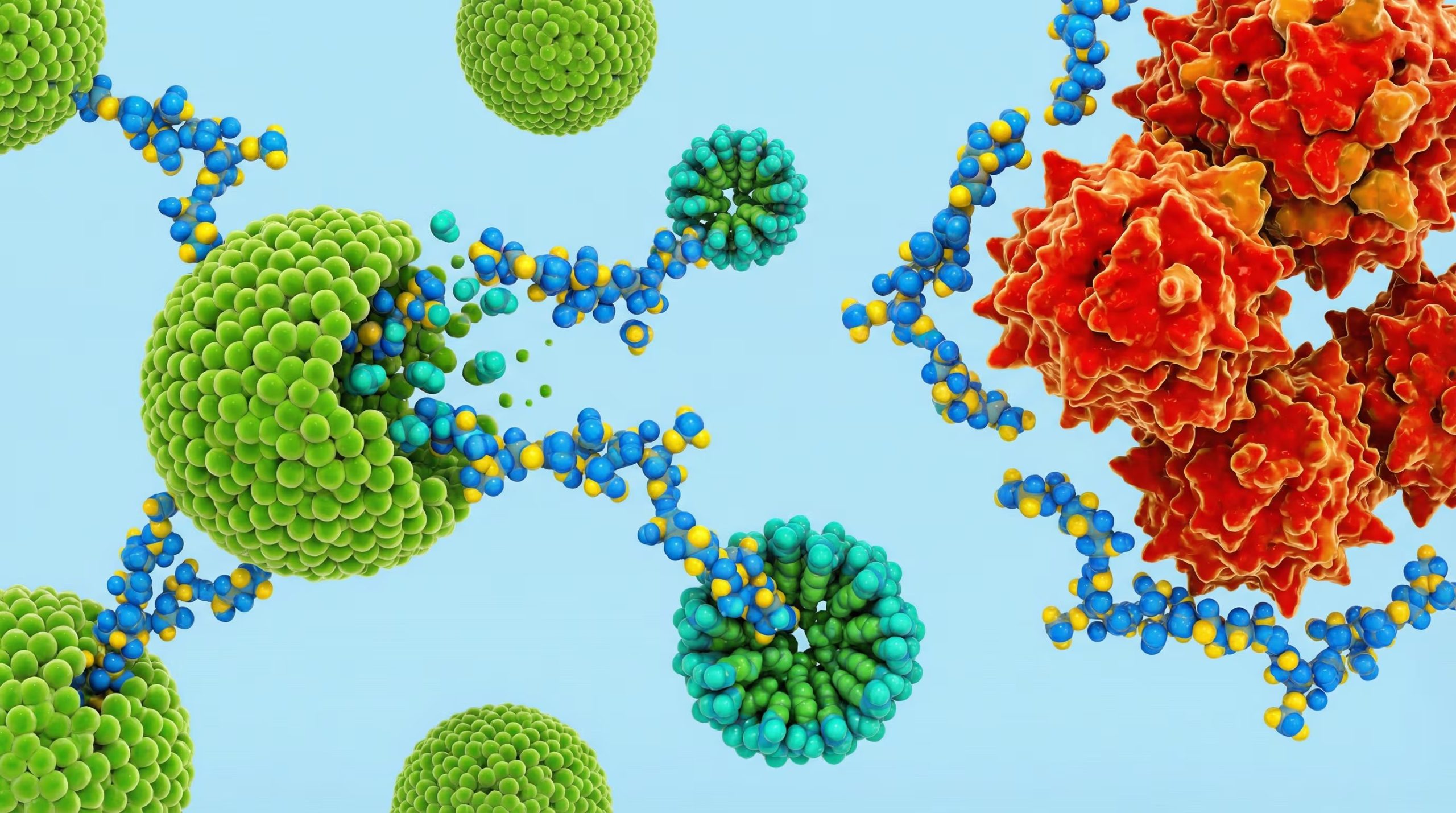 Los ácidos biliares, esenciales en la digestión, actúan como selectores clave en la absorción y eliminación de lípidos (Imagen Ilustrativa Infobae)