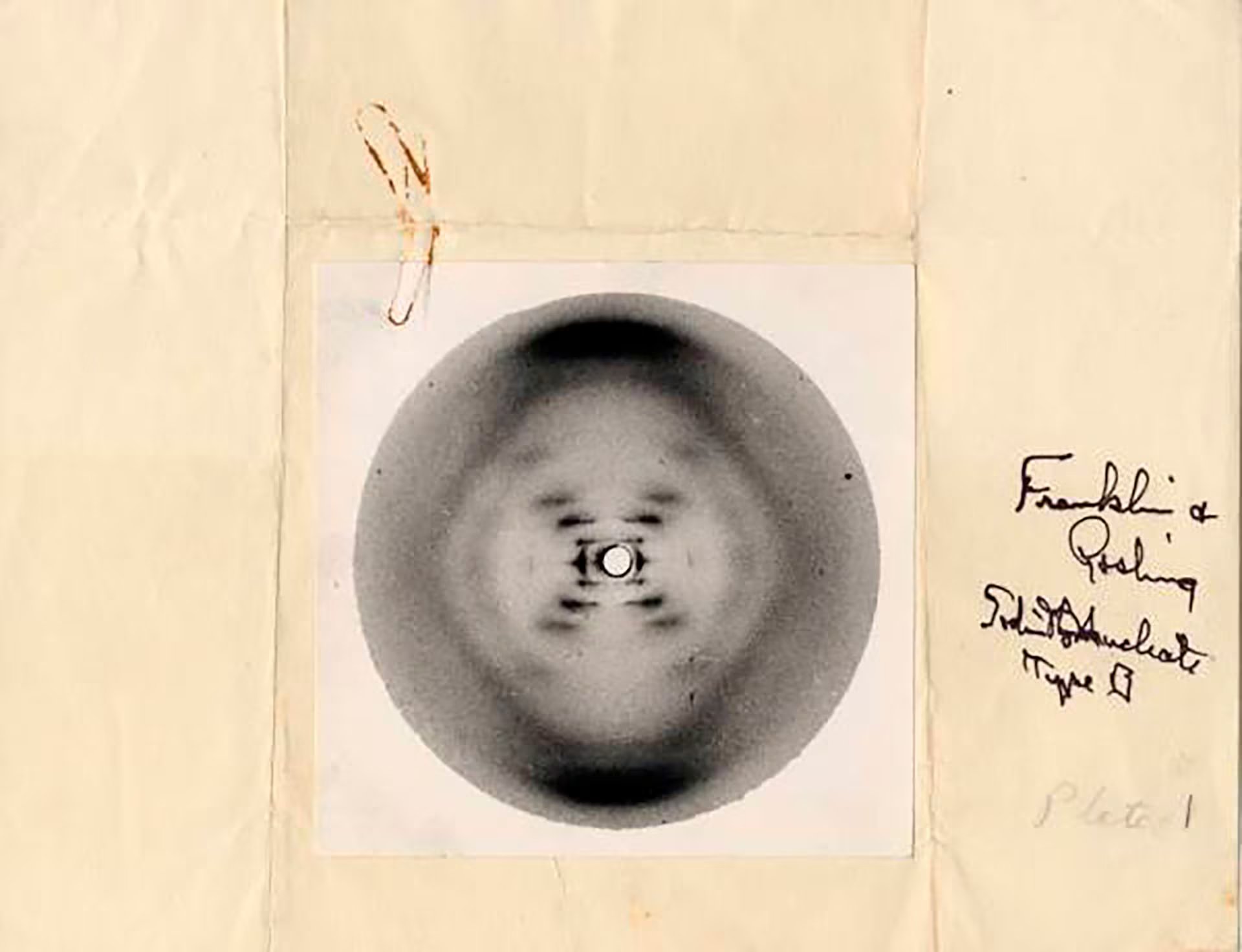 La Fotografía 51, imagen obtenida por Franklin, fue fundamental para desentrañar la forma helicoidal del ADN