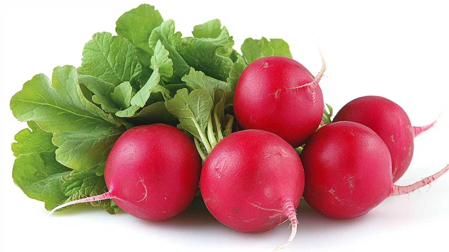 El rábano se considera una alternativa natural y saludable dentro de dietas equilibradas, recomendado por sus beneficios funcionales. - (Imagen Ilustrativa Infobae)