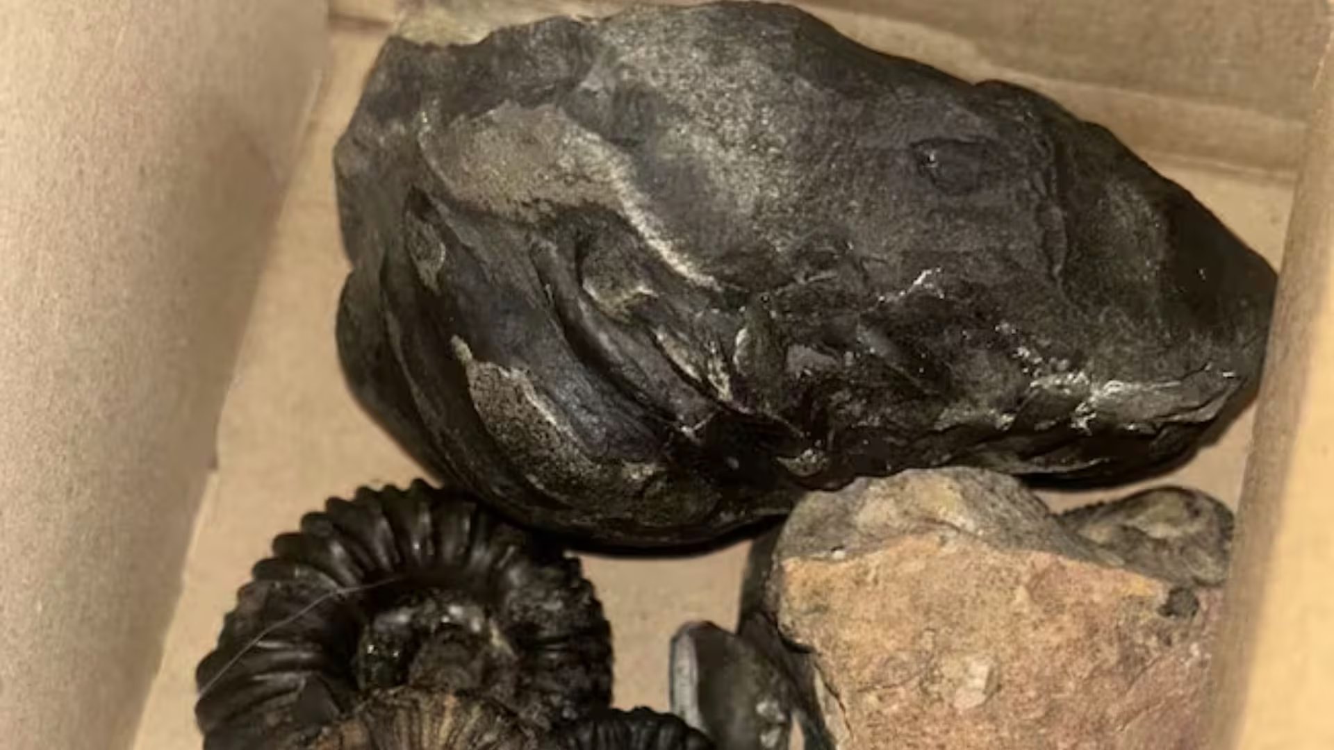 Los hallazgos impulsan procesos de educación ambiental y abren la posibilidad de desarrollar turismo científico responsable en el municipio. - crédito Caracol Radio