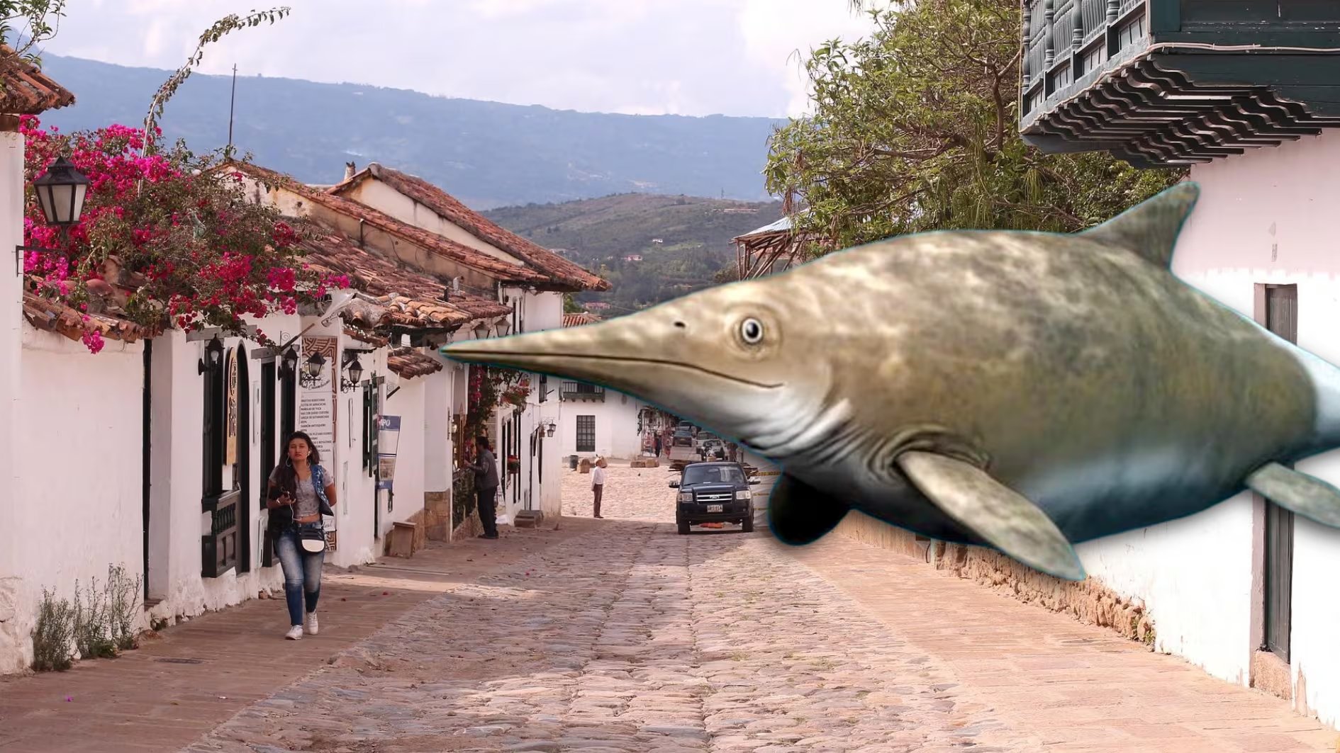 Vista general del ictiosaurio CIP-0107, un reptil marino del Cretácico Temprano hallado en la Formación Paja, Boyacá, que conserva restos excepcionales de tejidos blandos- Crédito Pixabay