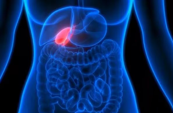 Esta bebida acompaña rutinas saludables orientadas al bienestar hepático y biliar.(Especial)