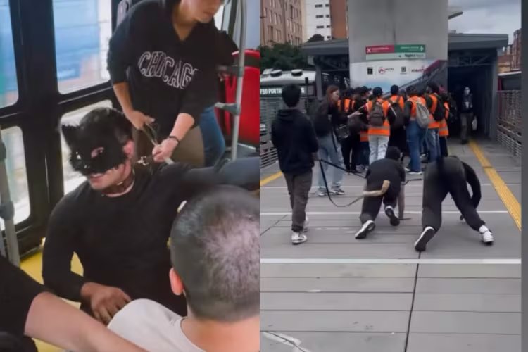 Esta tendencia ha provocado que creadores de contenido asuman identidades de animales - crédito @Culotauro/Instagram