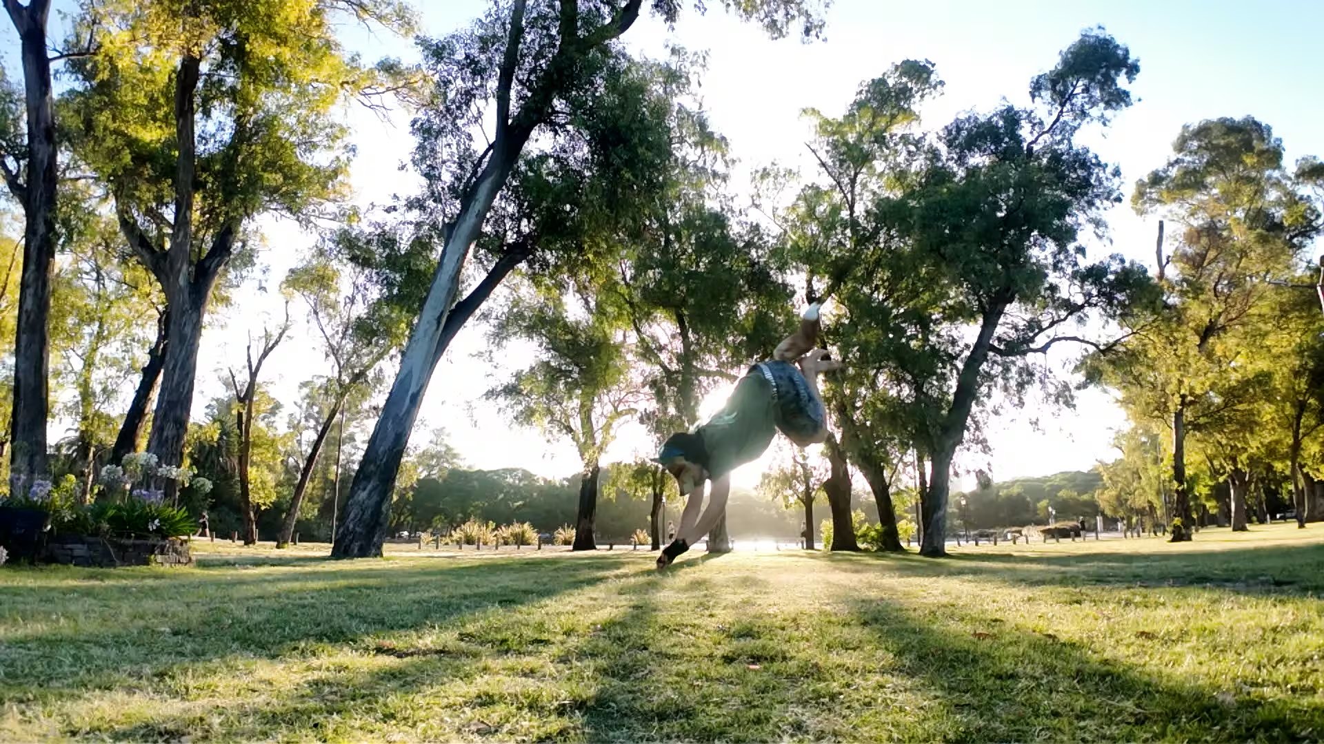 Acompañar sin prejuicios y establecer límites claros dentro del hogar son claves recomendadas para las familias de jóvenes therians