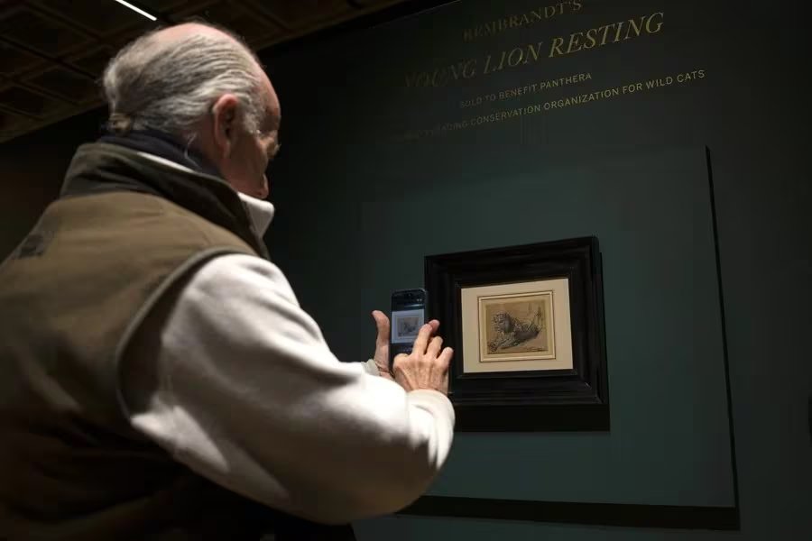 La obra de Rembrandt que se subastó para ayudar a los felinos.