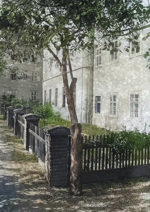 En el huerto del monasterio, Mendel cultivó miles de arvejas, recolectando datos que revelarían los principios fundamentales de la herencia biológica (Science Photo Library)