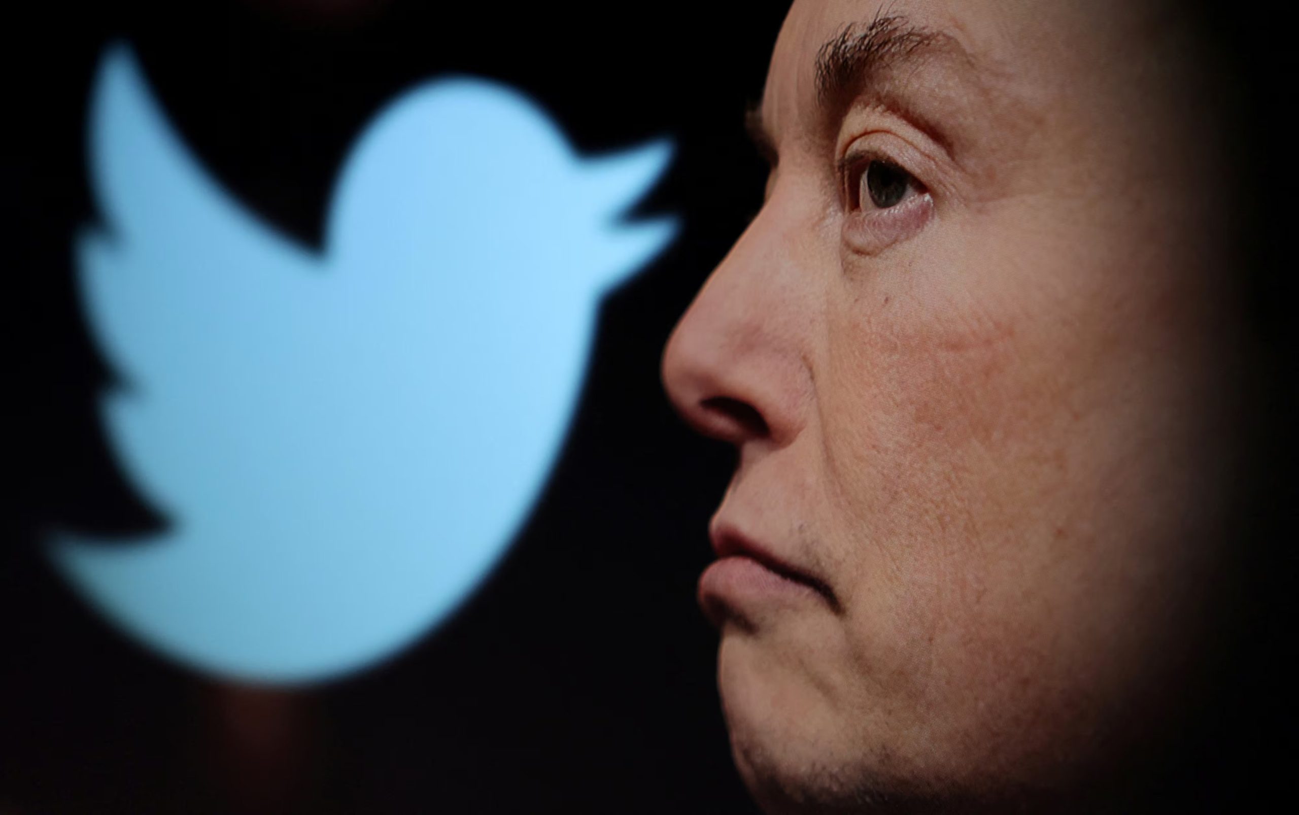 FILE PHOTO: Twitter logo and a photo of Elon Musk are displayed through magnifier in this illustration taken October 27, 2022. REUTERS/Dado Ruvic/Illustration/File Photo