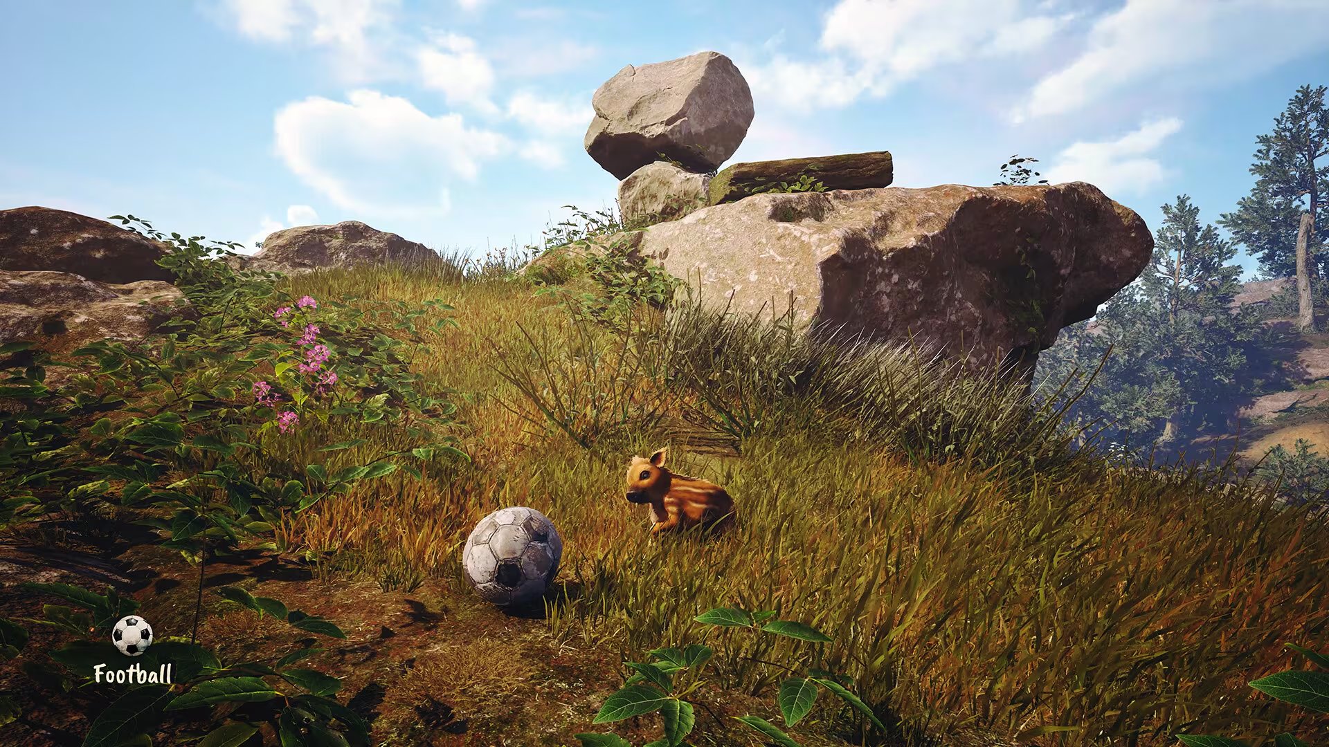 Adorable Adventures, de Wild Sheep Studio.