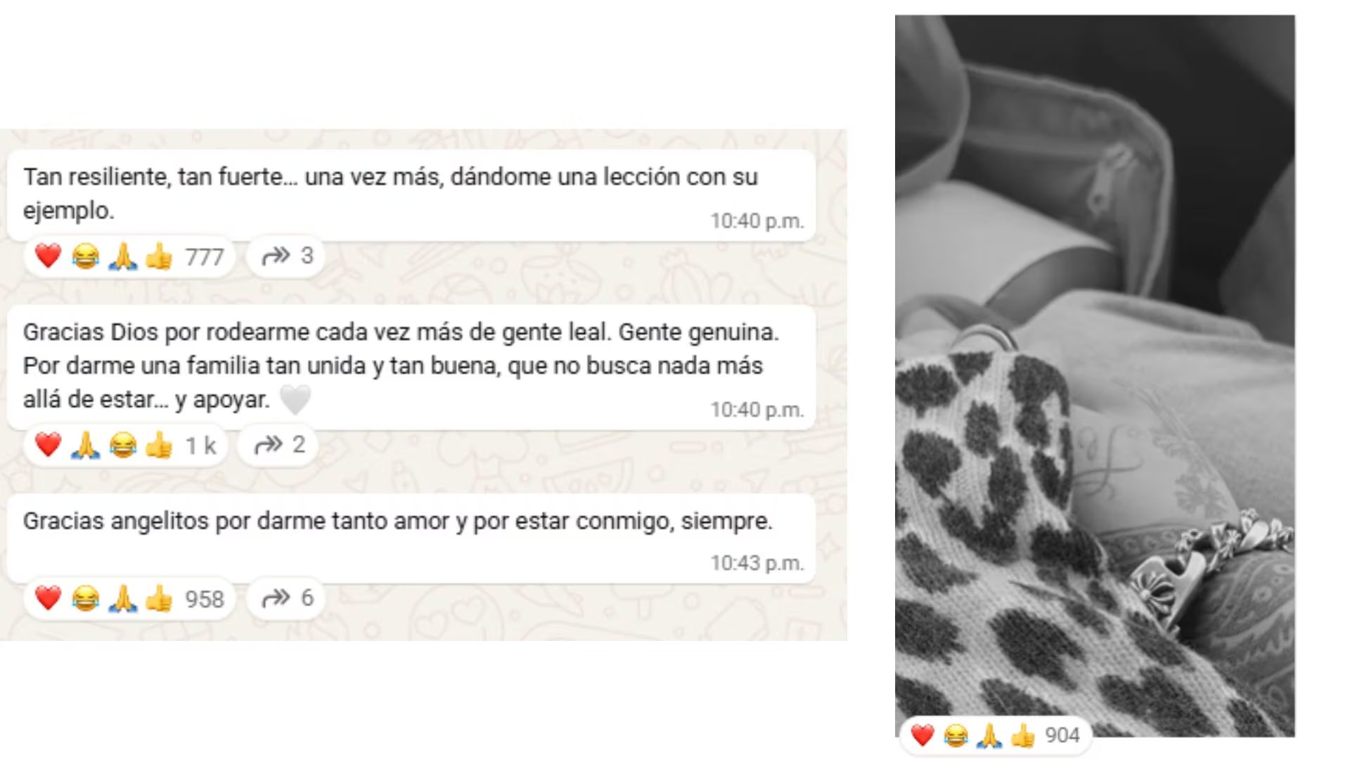 La intérprete describió el concierto de Pepe Aguilar como una experiencia emotiva que reforzó su vínculo familiar y le permitió agradecer el apoyo incondicional de sus seres queridos. (Captura de pantalla Whatsapp Ángela Aguilar)