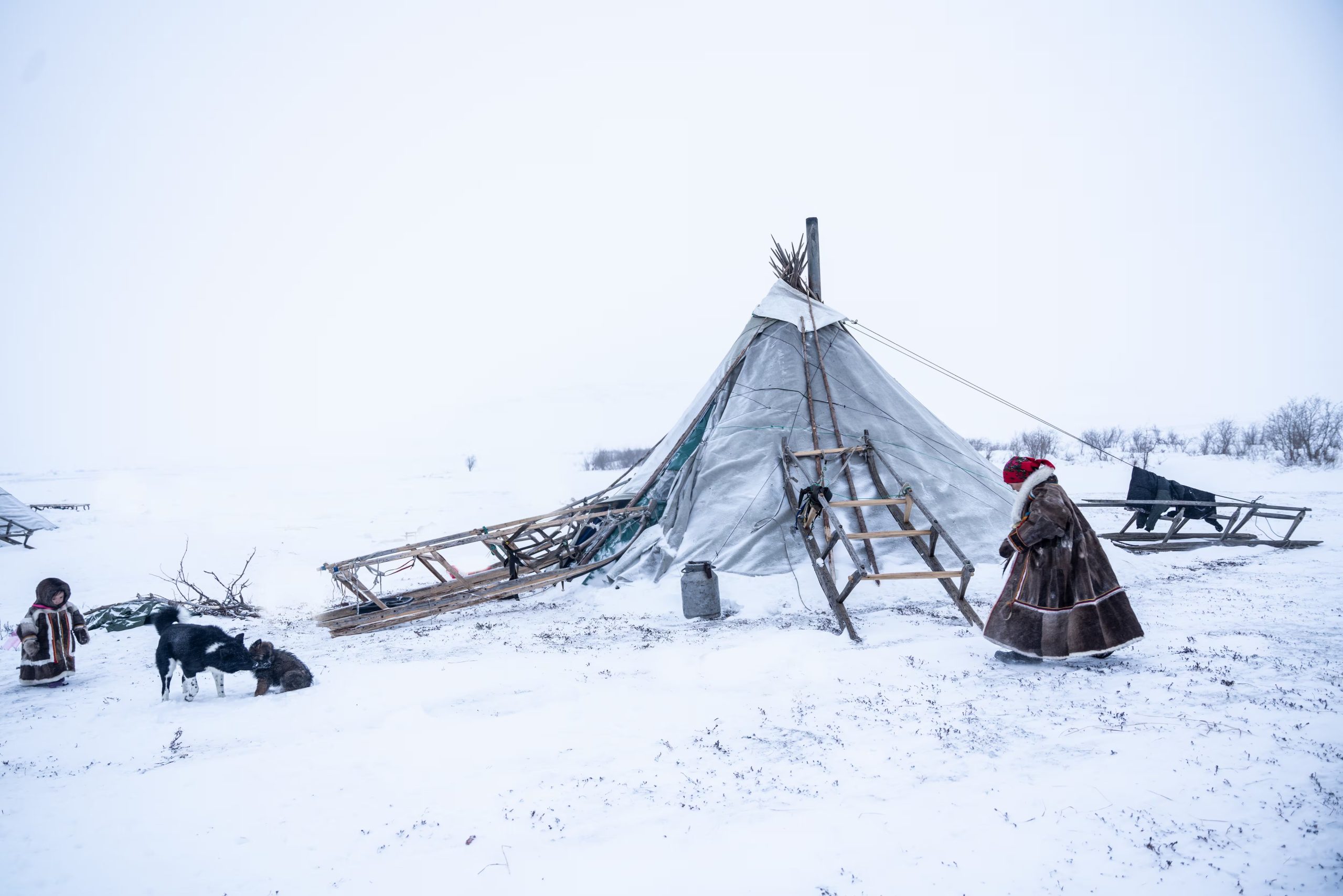 La chum de los nenets de Siberia (@sofimprado).,