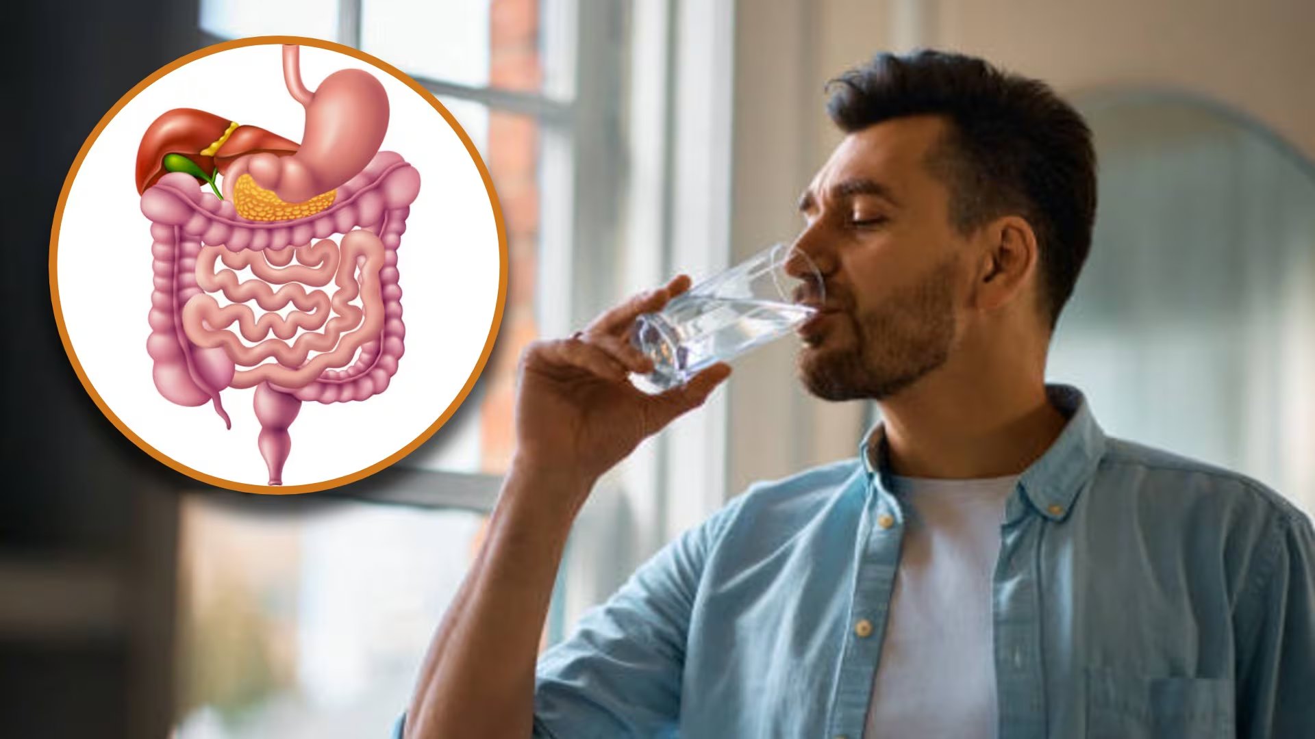 La ingesta de al menos 2,5 a 3 litros de agua al día contribuye a la digestión, el transporte de nutrientes y el cuidado de la piel
Foto: (Jesús Tovar Sosa/Infobae)