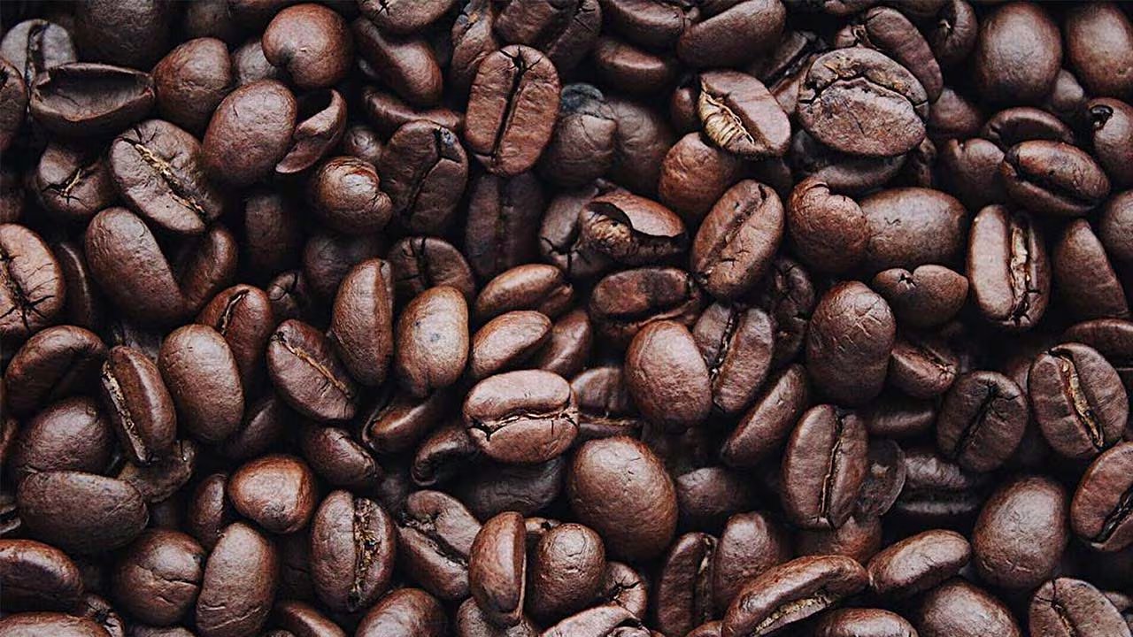 Plantas como la tomatera, el trébol y el geranio muestran sensibilidad al café por el cambio de pH y la presencia de cafeína (Cortesía: Forbes Centroamérica)