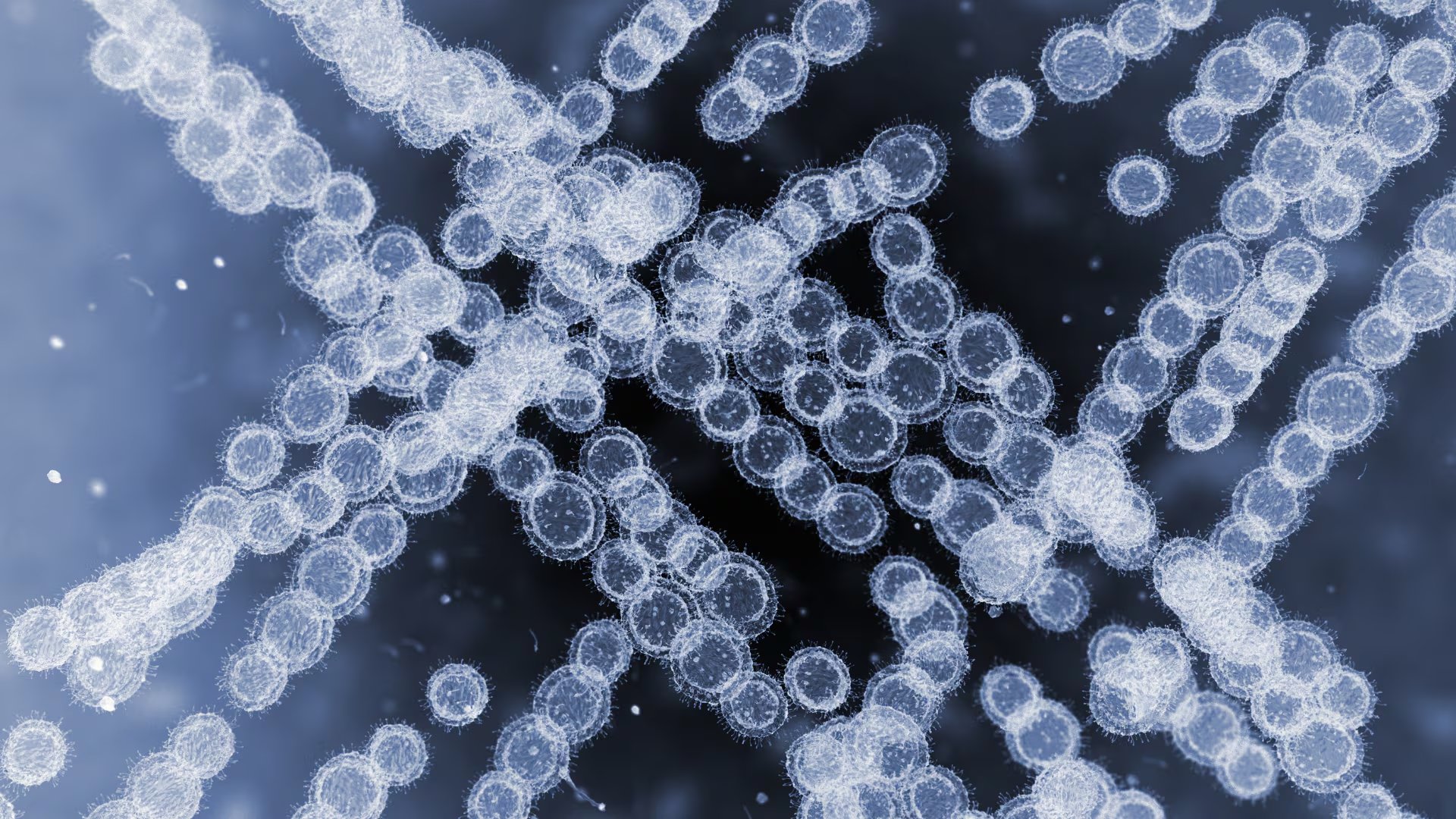 Candida auris: qué riesgos plantea el hongo resistente y cómo se prepara el sistema de salud peruano| Foto: Canva