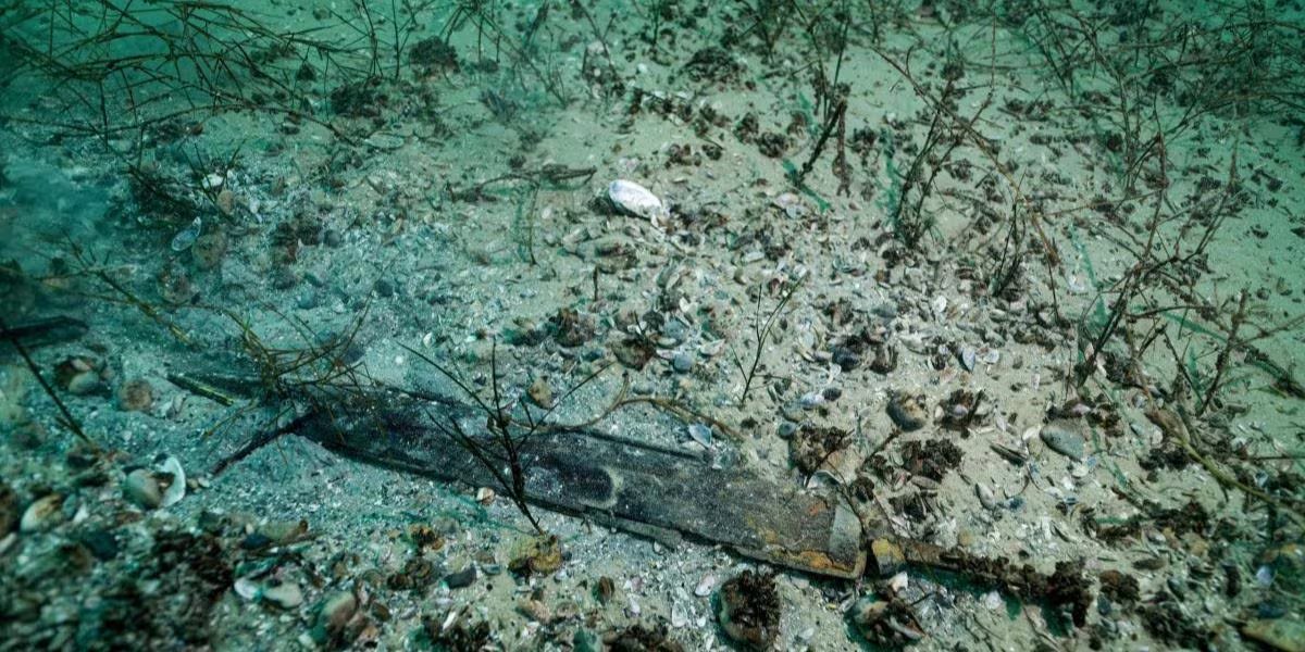 La investigación subacuática demuestra la excepcional conservación de recipientes, herramientas y componentes de arnés datados en el siglo I d.C (Octopus Foundation)