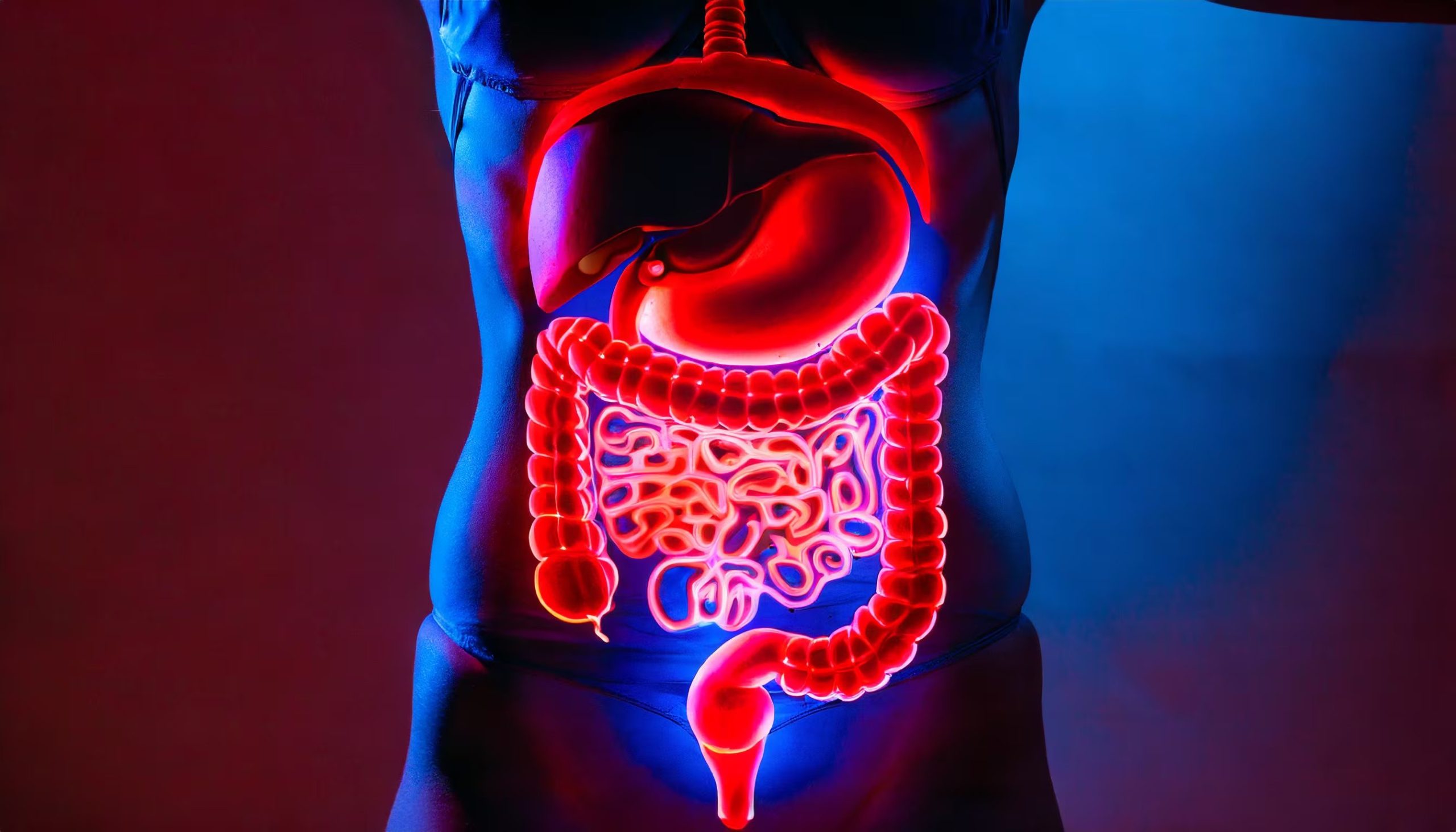 Una alimentación equilibrada y variada es la clave para mantener un sistema digestivo saludable. (Imagen Ilustrativa Infobae)