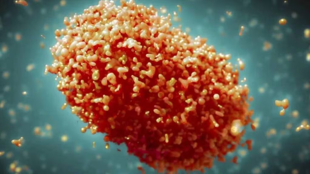 La tasa de mortalidad de la Mpox varía entre el 0,1% y el 10%, dependiendo del acceso a atención médica y las condiciones del paciente (OMS)
