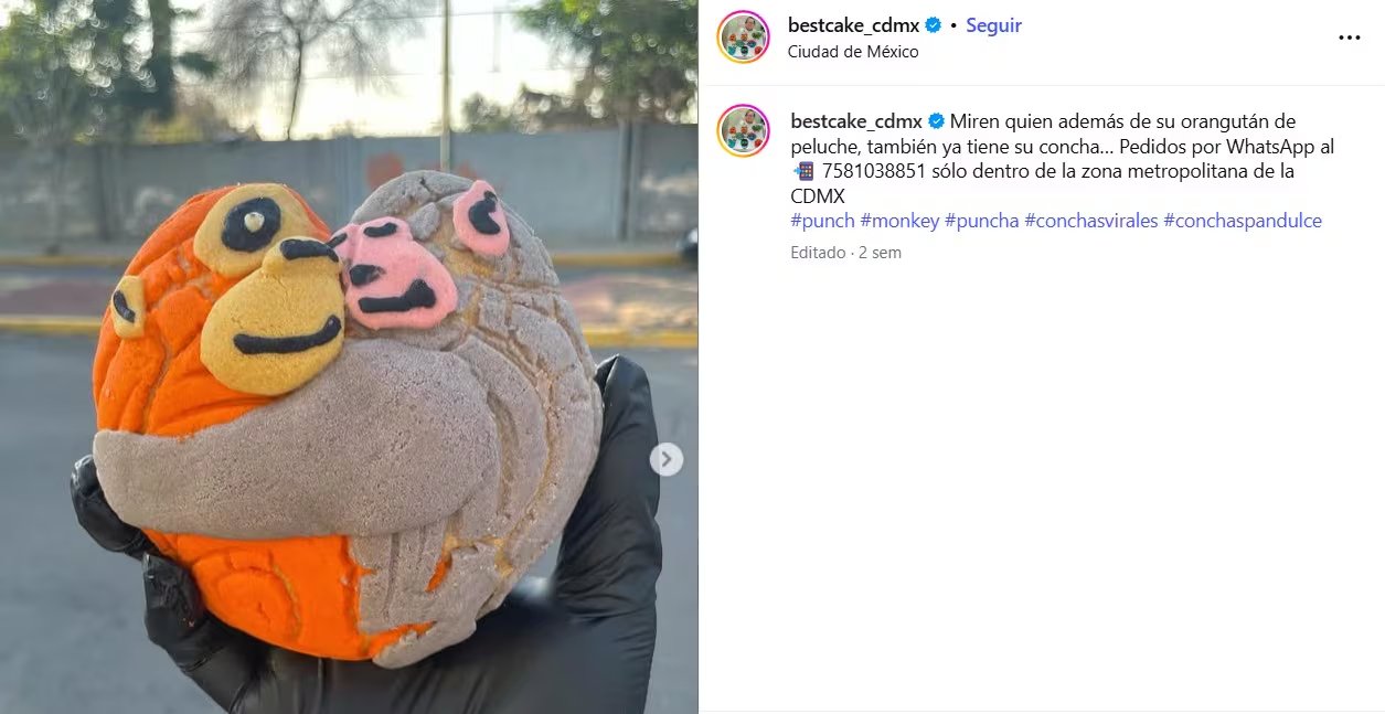 Internautas celebraron la creatividad del panadero que recreó al primate viral en una concha.