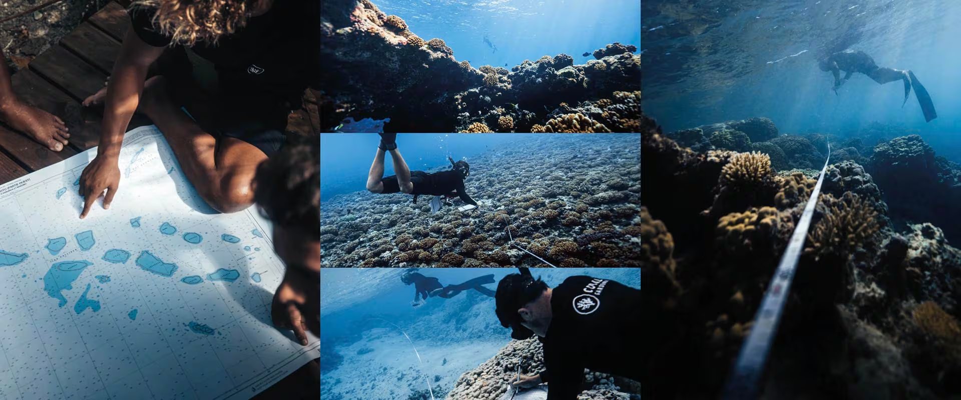 Miembros de Jardineros de coral en la Polinesia Francesa (coralgardeners.org)
