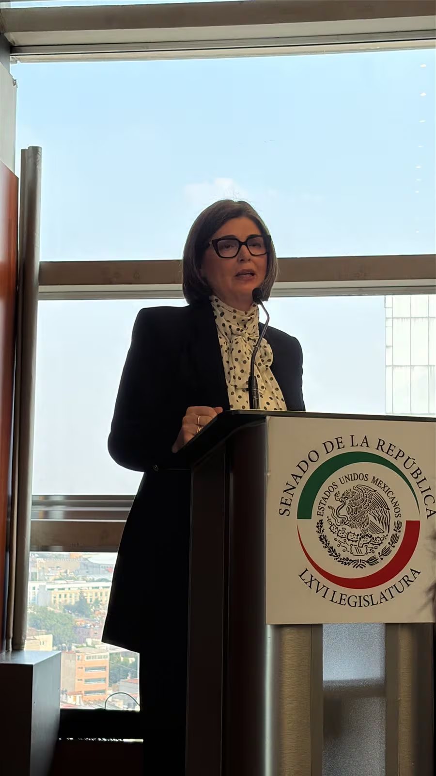 Susana Fernández Iglesias
(RS)