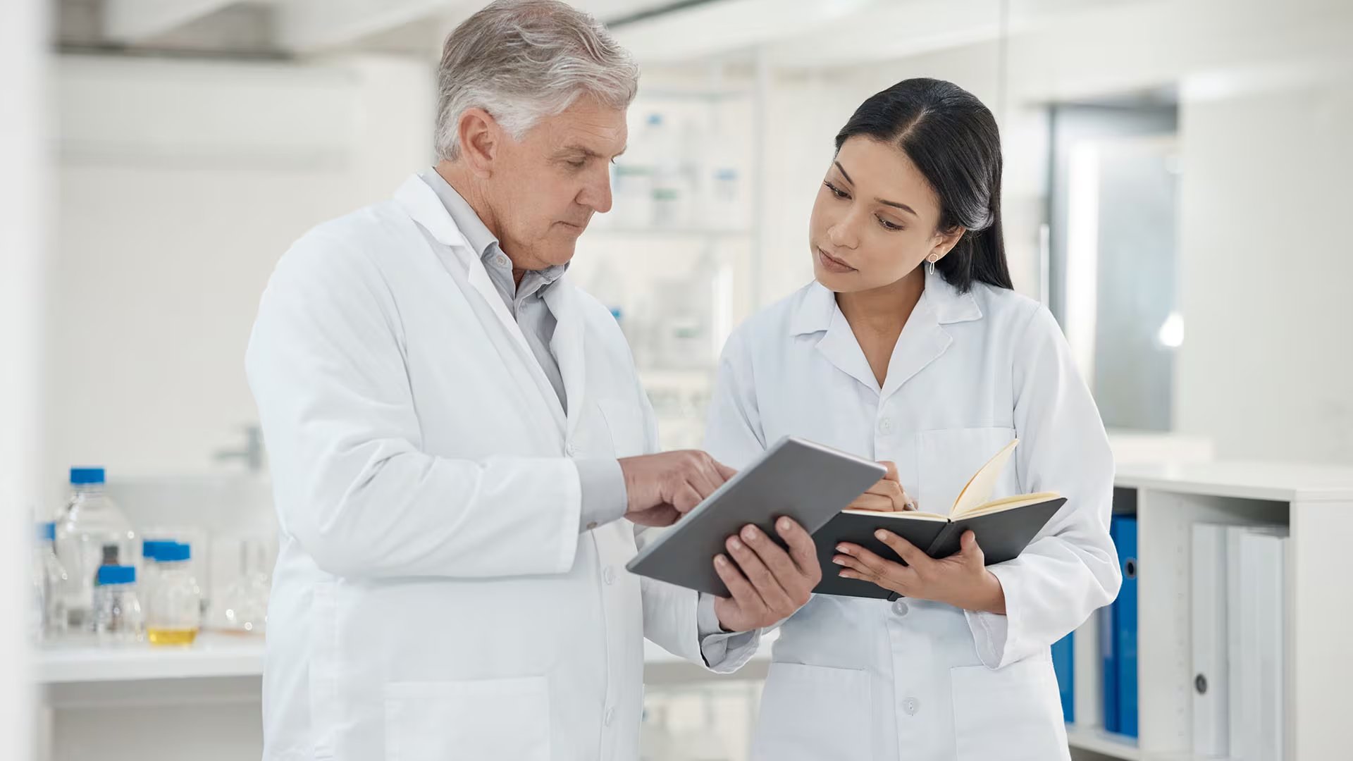 El análisis genético y morfológico permitió distinguir a Acanthochitona feroxa de especies similares (Freepik)