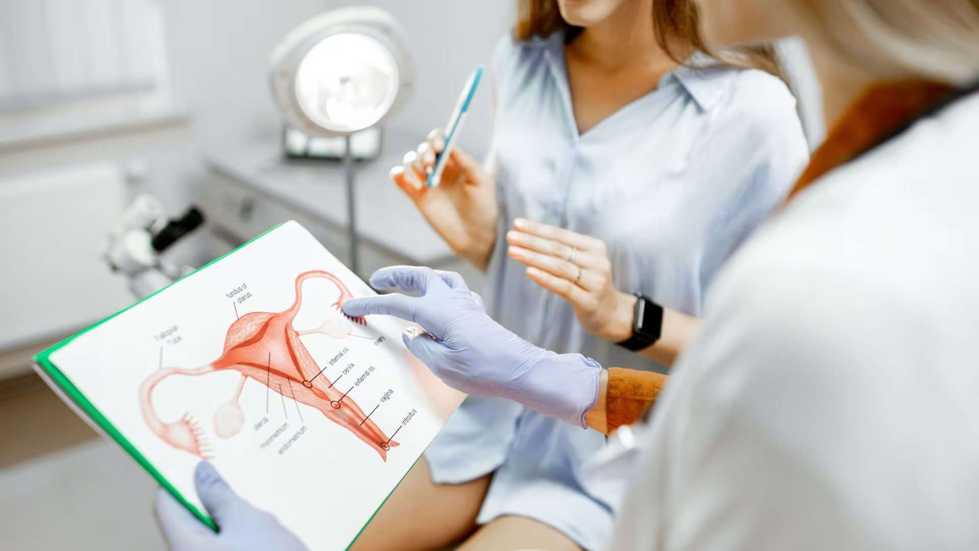 El examen pélvico abarca la observación y palpación de vulva, vagina, cuello uterino, útero y ovarios, revelando alteraciones anatómicas y signos de enfermedad (Canva)