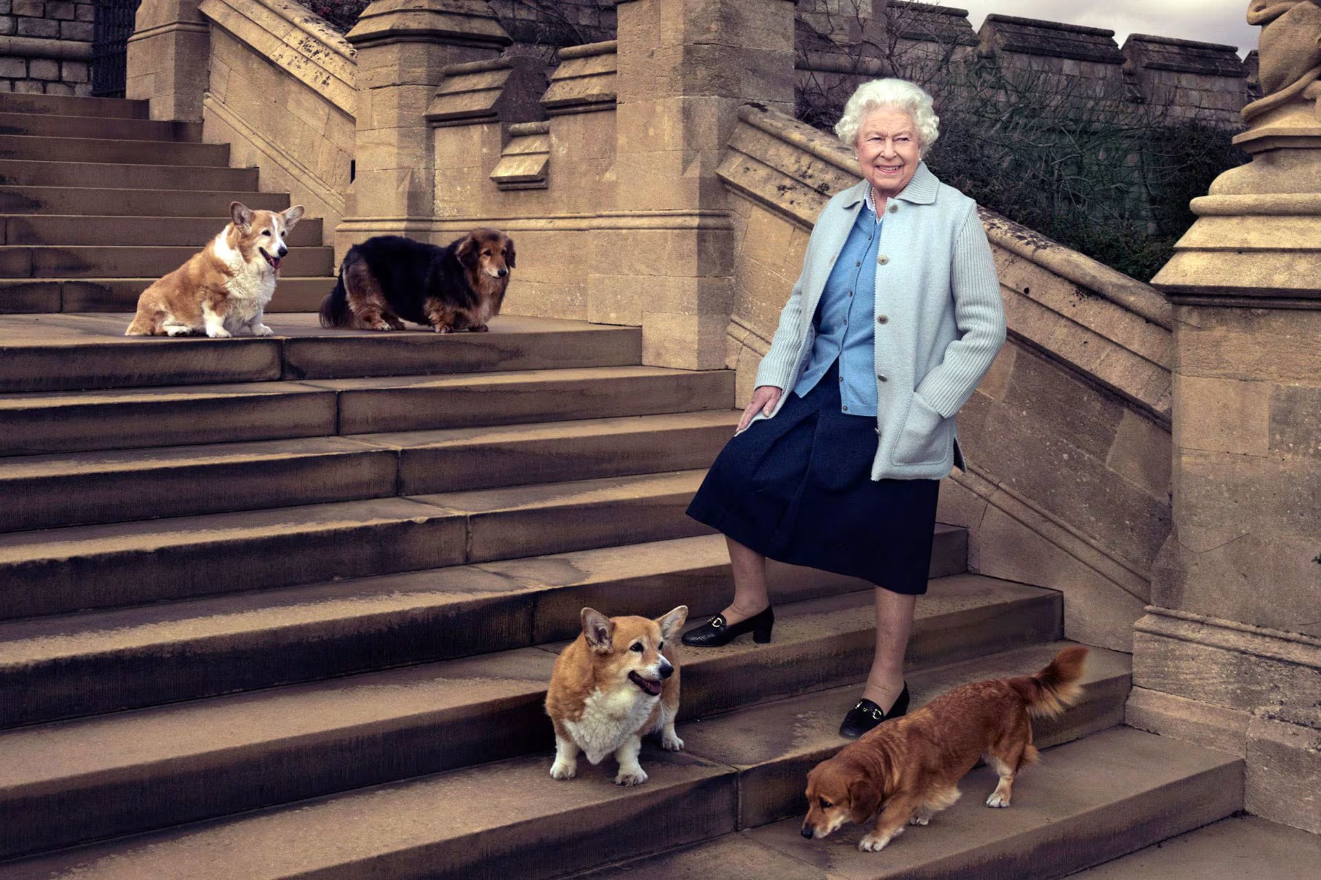 La reina Isabel II con sus corgis.
