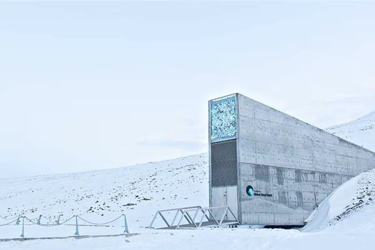 Bóveda del fin del mundo. Foto: National Geographic