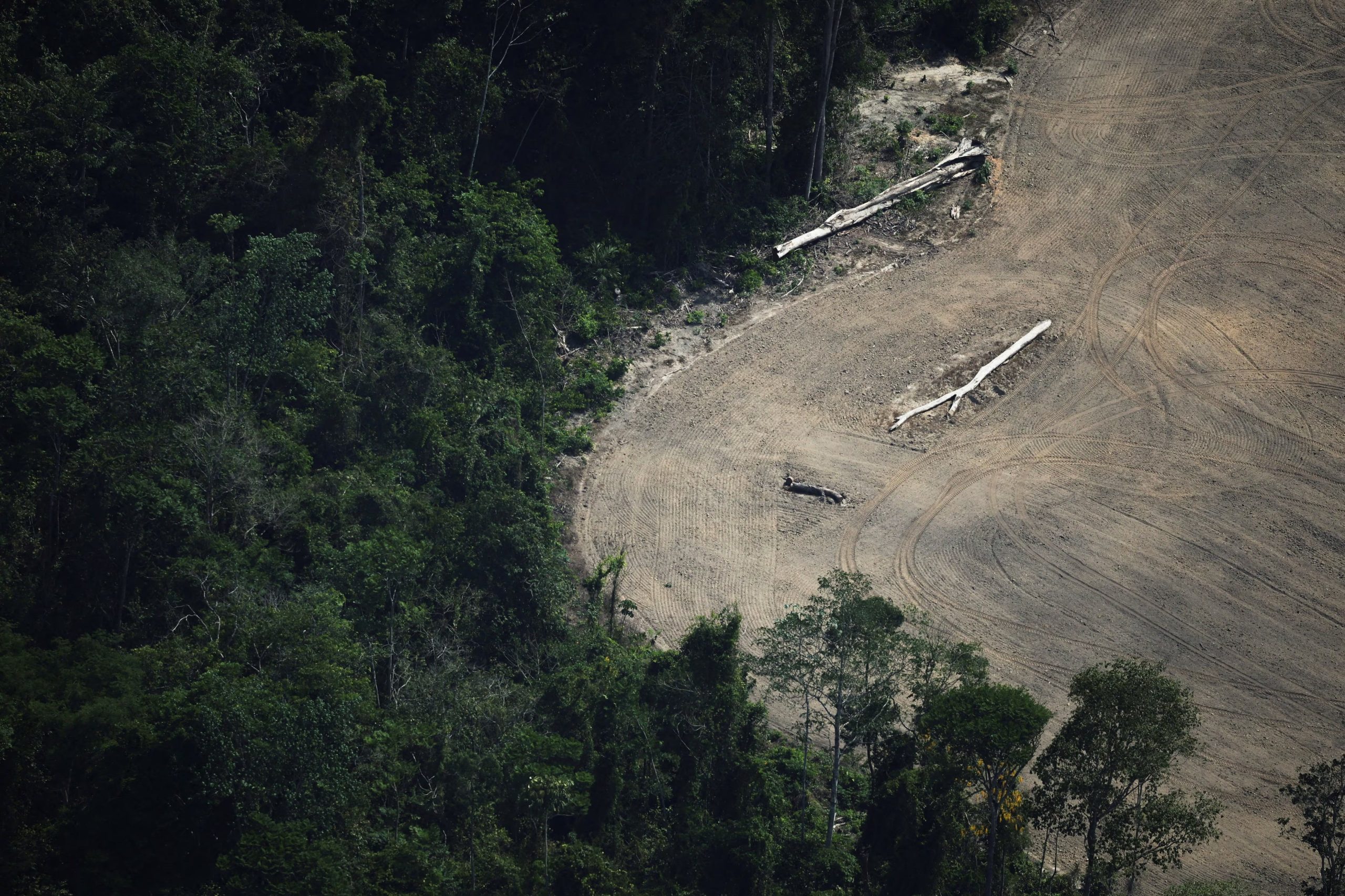 Un estudio señaló que la propagación del virus Oropouche es favorecida por factores como la deforestación, la agricultura y la humedad elevada en zonas rurales y selváticas. REUTERS/Adriano Machado/Archivo
