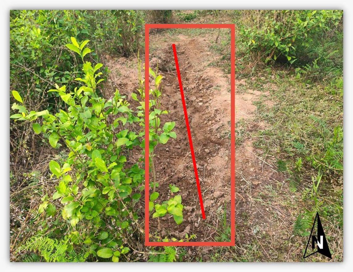 Gustavo Petro terminó con las polémicas sobre este caso - crédito @PetroGustavo/X