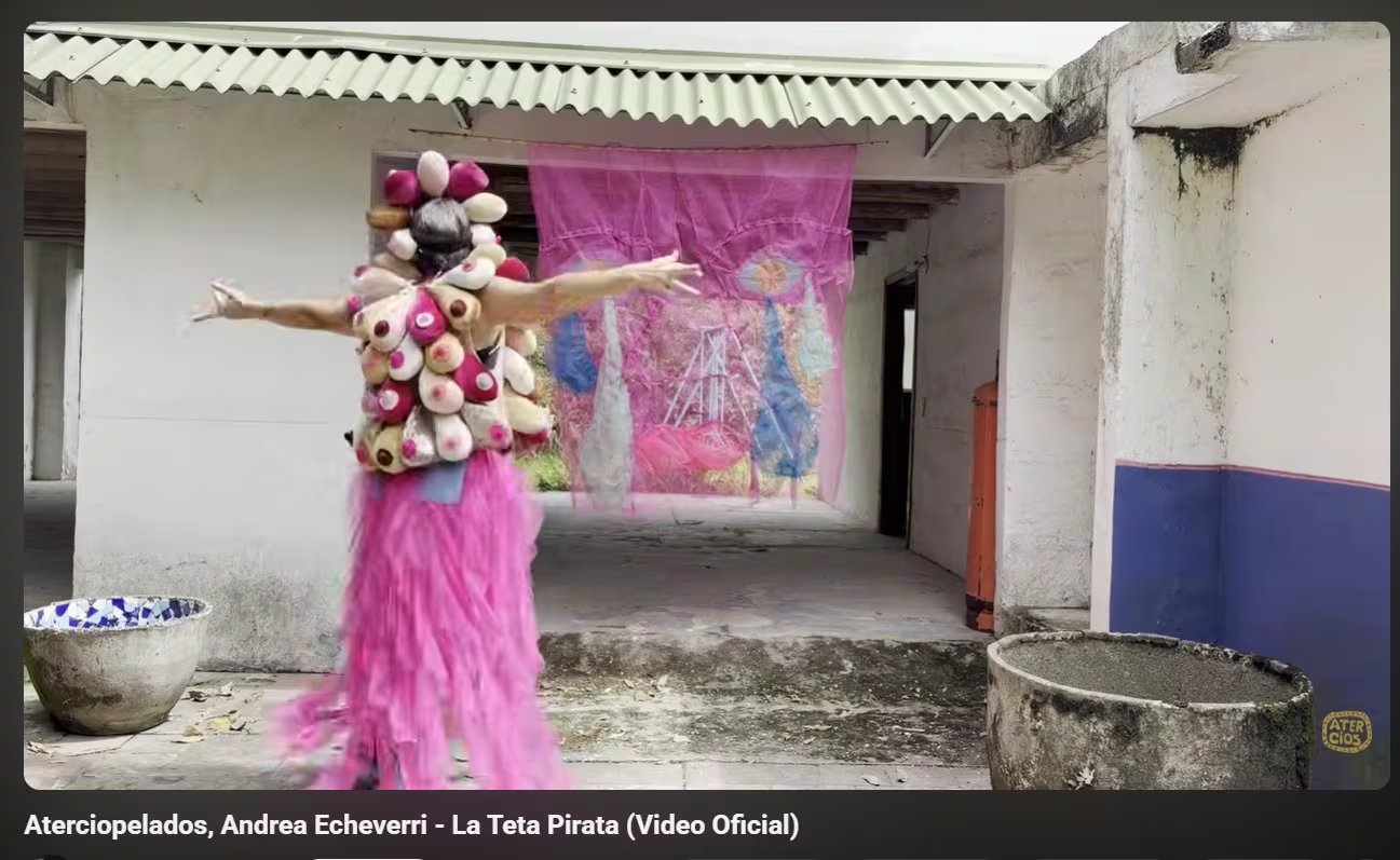 Una acusación derivada de un supuesto hecho en clases de ballet desencadenó acciones inmediatas por parte de la institución, que informó a la comunidad sobre las disposiciones adoptadas para salvaguardar a los alumnos - crédito captura de pantalla @Aterciopelados / Youtube