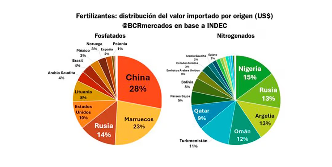 infografia