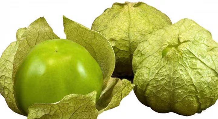 El contenido de fibra dietética en el tomate verde mejora la digestión, previene el estreñimiento y ayuda a mantener estables los niveles de azúcar en sangre. - (foto:Secretaría de Agricultura y Desarrollo Rural )