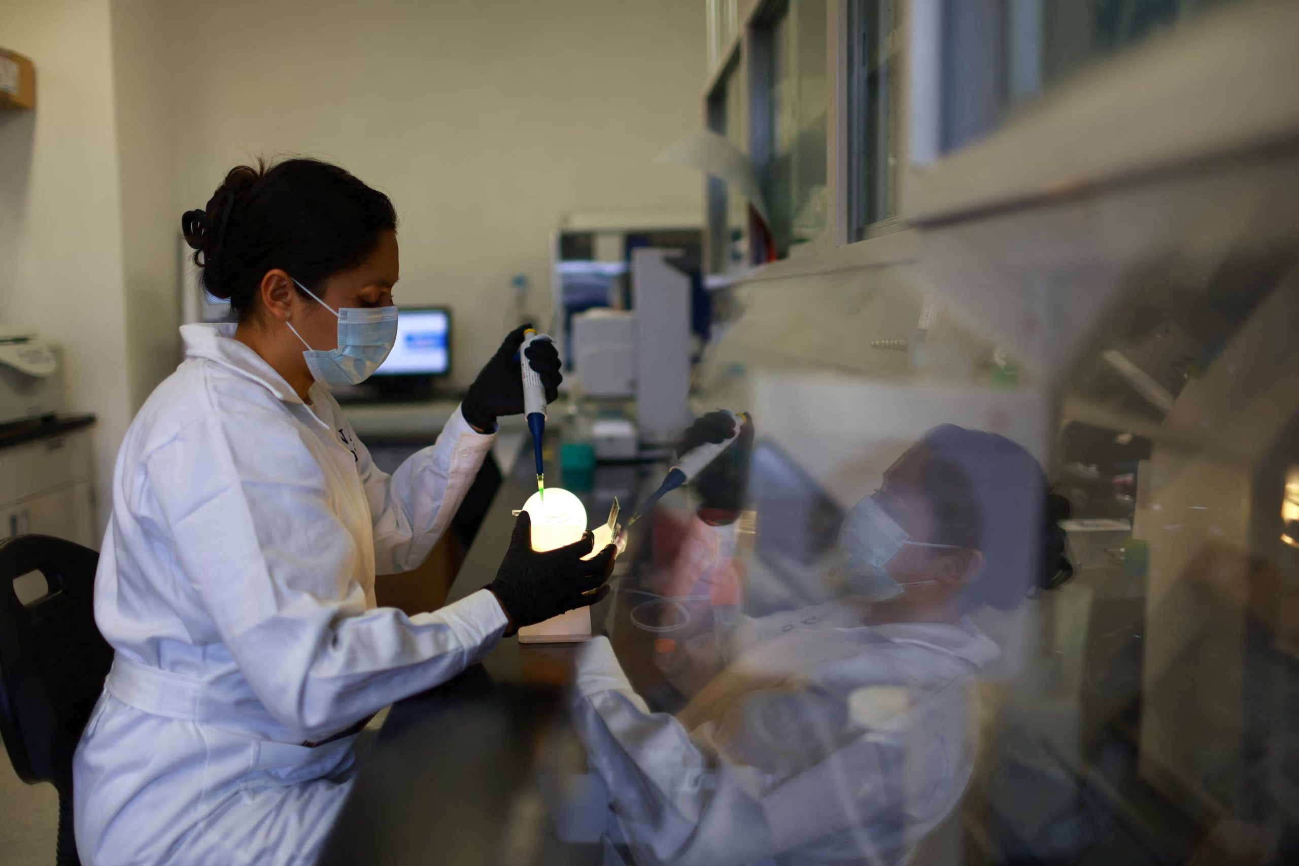 FILE PHOTO: Según el análisis presentado en Fox News Digital, cerca del 21 % de quienes recibieron vitamina D informaron al menos un síntoma persistente ocho semanasCity, Mexico
January 20, 2026. REUTERS/Raquel Cunha/File Photo