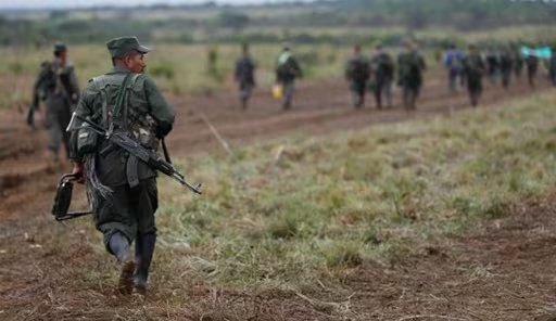 Imagen de referencia - El informe de HRW denuncia que la ausencia estatal permite abusos y violencia contra comunidades indígenas y líderes sociales en Putumayo - crédito Colprensa