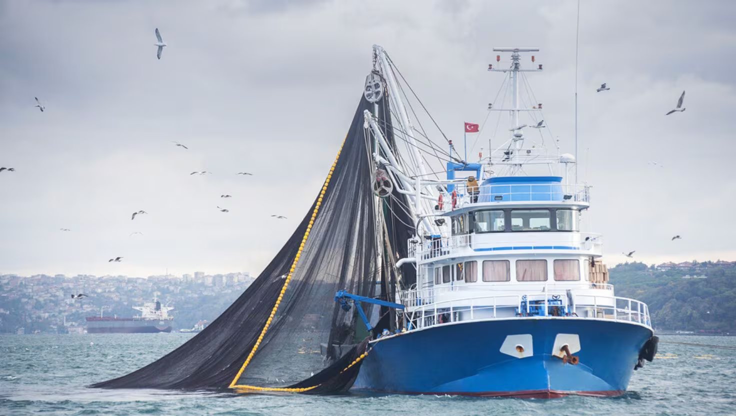 La situación también afecta a sectores clave como la pesca, fundamental para la seguridad alimentaria en ambos países