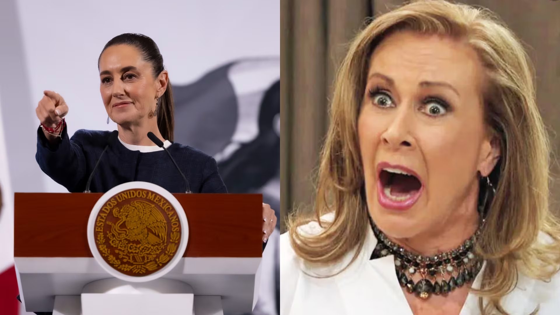 Derechos Humanos de Oaxaca rechaza expresión ‘clasista’ de Laura Zapata a Sheinbaum; procederán al Conapred 
(Fotos: Instagram)