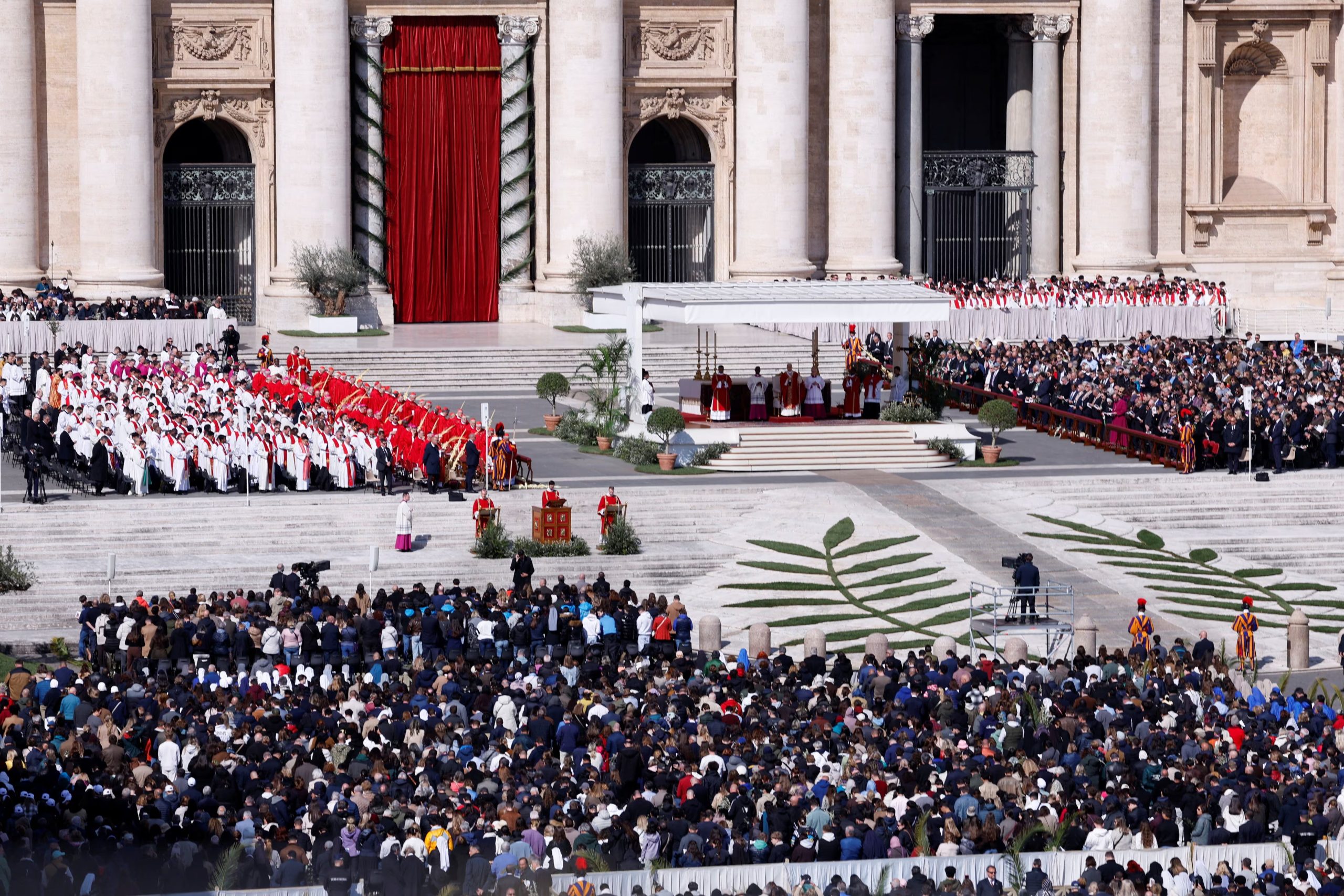 Fieles participan de la misa del Domingo de Ramos celebrada por el papa León XIV en la Plaza de San Pedro. Entre los asistentes se repartieron olivos traídos especialmente para la ocasión. (REUTERS/Remo Casilli)